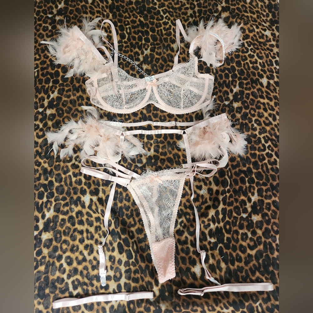 Lace and Feather Lingerie Set in Pink